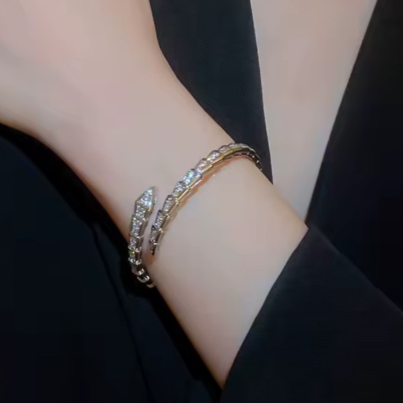 Serpentine serpent snake Silver Women's Jewelry bracelet - Picture 9 of 9